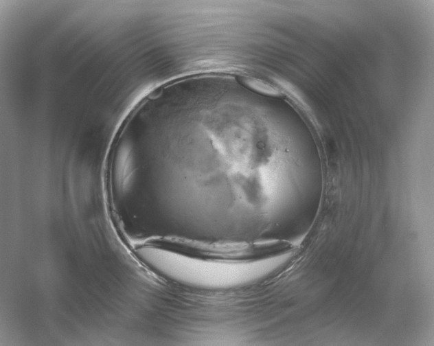 X0000061151291200511181224