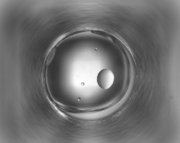 X0000061151293200511181224