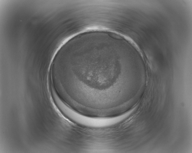 X0000061151295200511181224