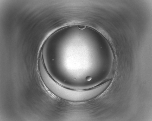 X0000061151296200511181224