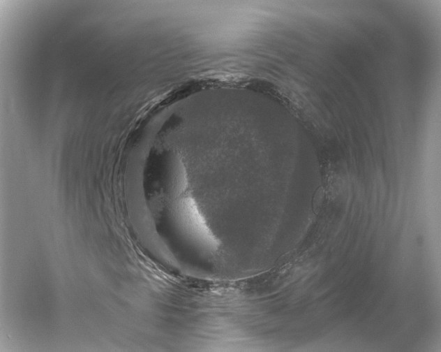 X0000061151297200511181223