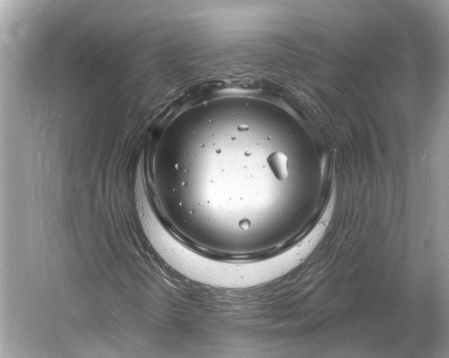 X0000061151298200511181223