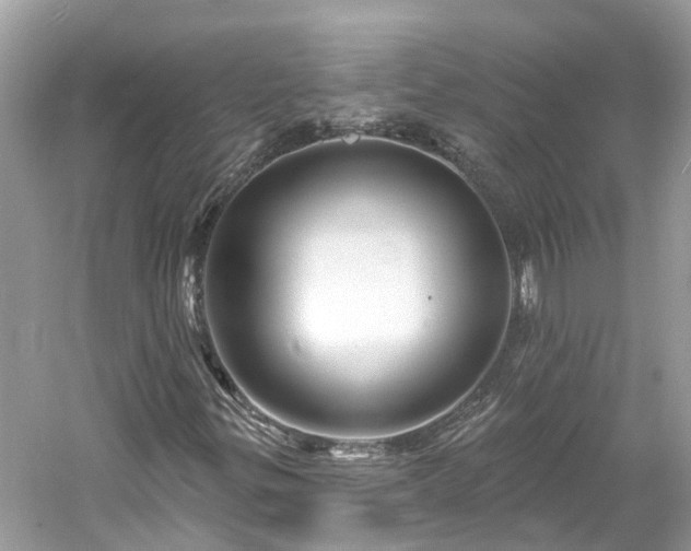 X0000061151299200511181223