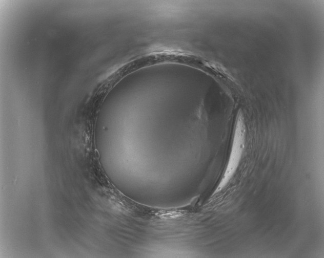 X0000061151303200511181223