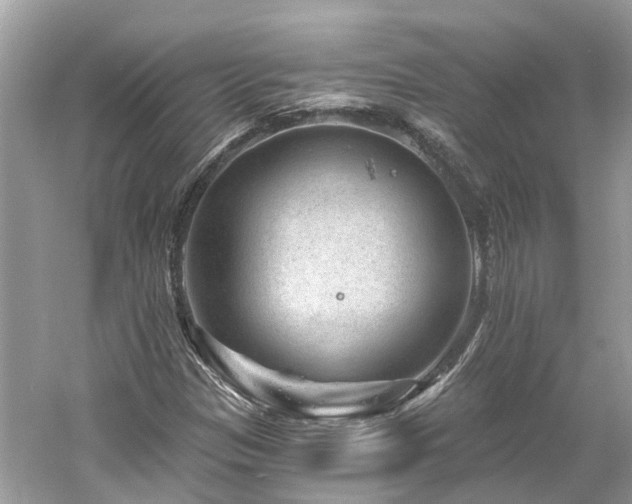 X0000061151305200511181223