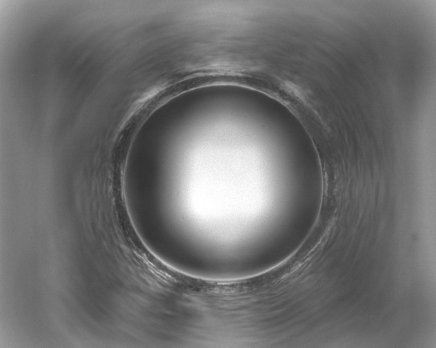 X0000061151307200511181224