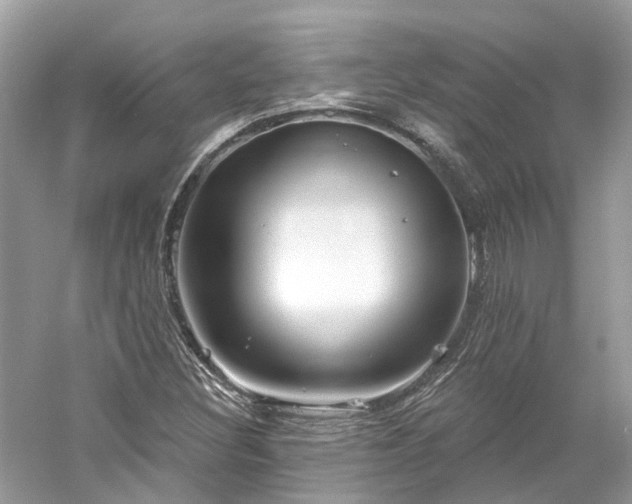 X0000061151308200511181224