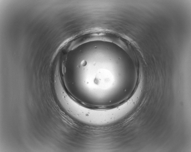 X0000061151314200511181224