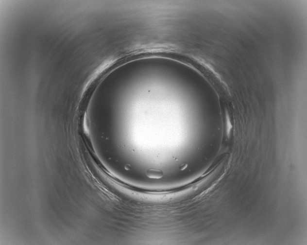 X0000061151317200511181224