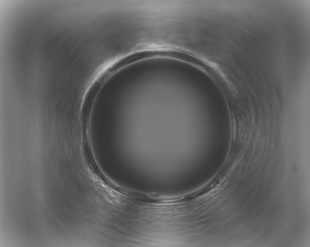 X0000061151319200511181224