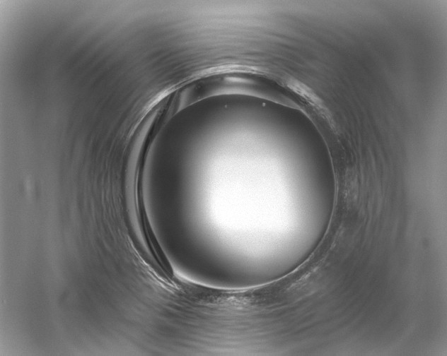 X0000061151321200511181224