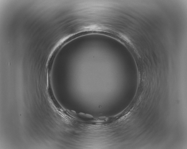 X0000061151323200511181224