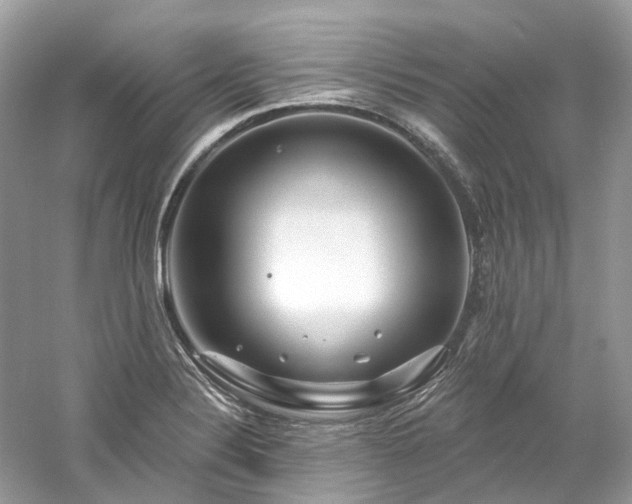 X0000061151324200511181224