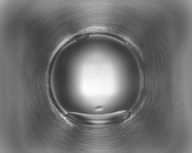 X0000061151325200511181224