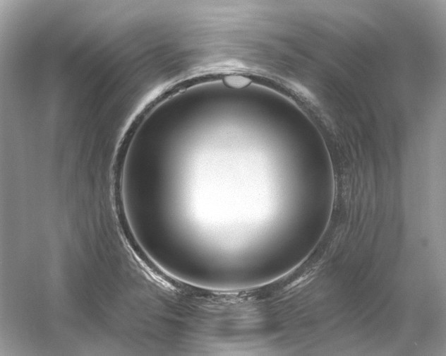 X0000061151326200511181224