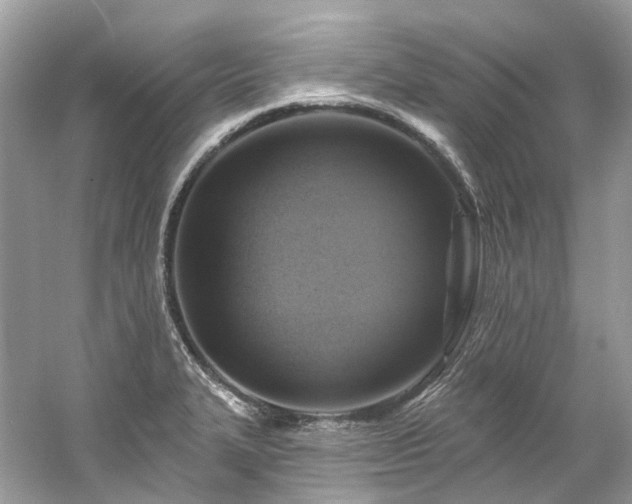 X0000061151327200511181224