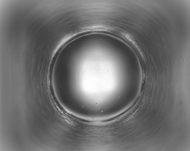 X0000061151328200511181224