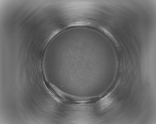 X0000061151329200511181224