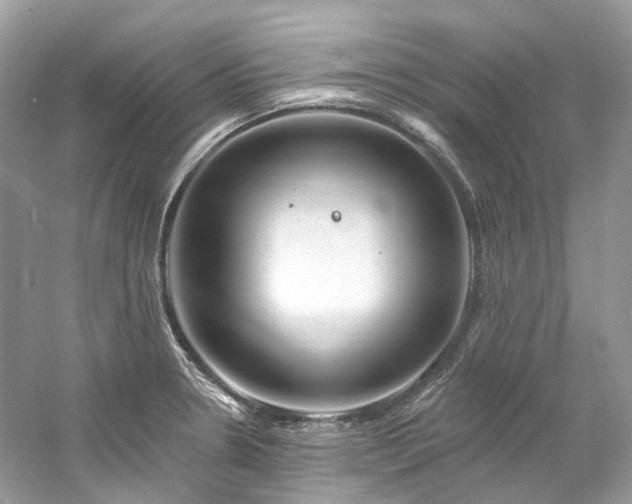 X0000061151330200511181224