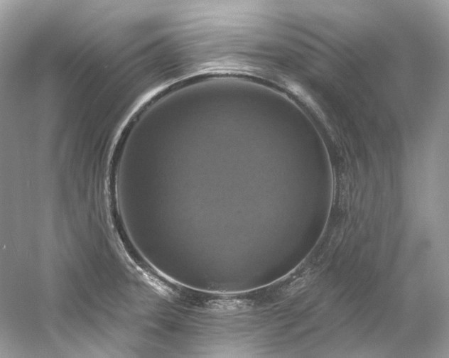 X0000061151331200511181224