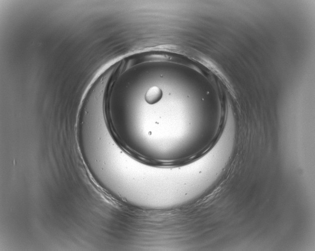 X0000061151332200511181224