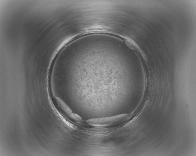 X0000061151333200511181224