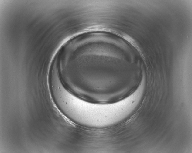 X0000061151334200511181224