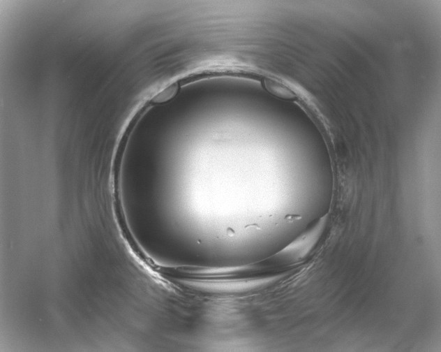 X0000061151335200511181224