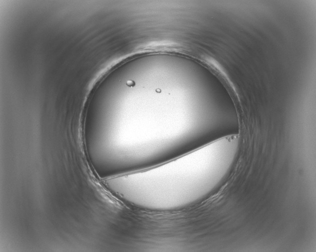 X0000061151336200511181224