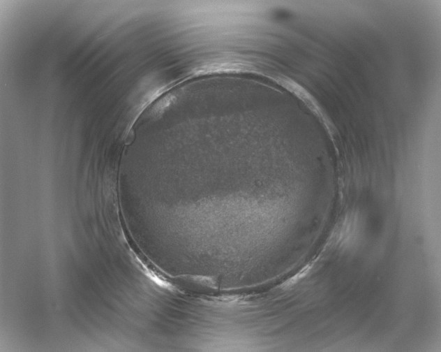 X0000061151337200511181224