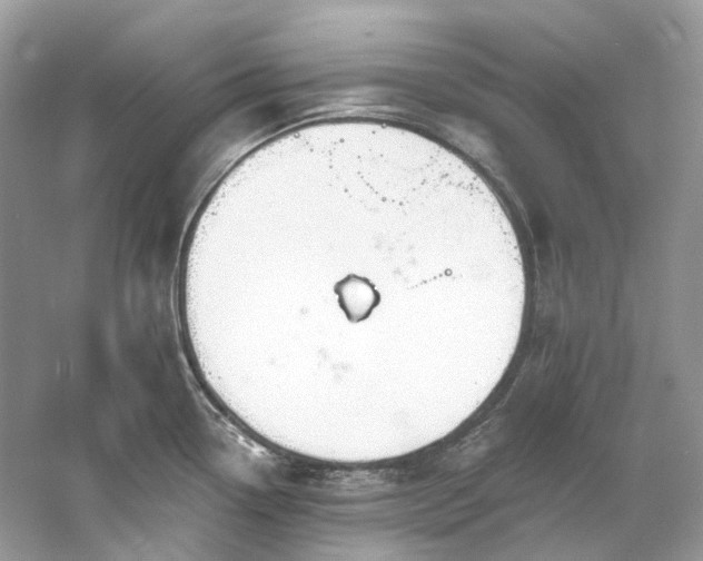 X0000061151338200511181224