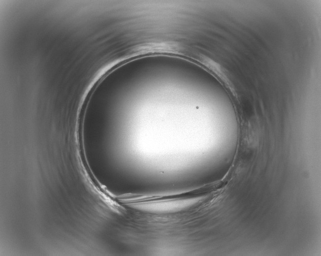 X0000061151339200511181224