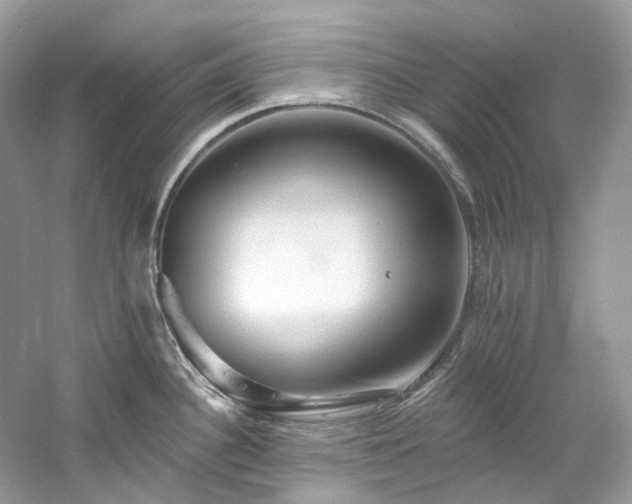 X0000061151340200511181224