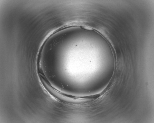 X0000061151341200511181224