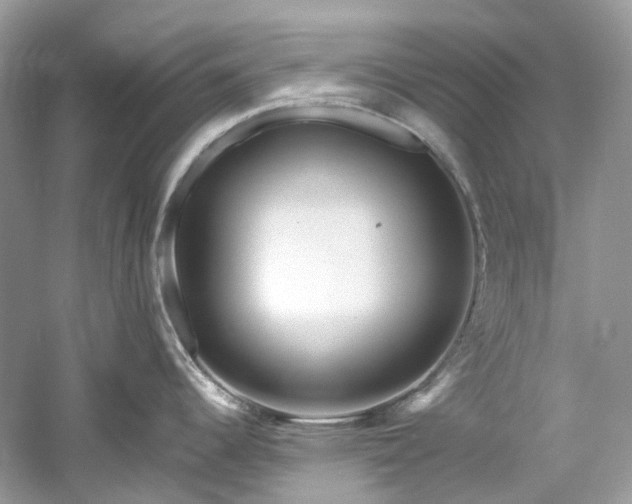 X0000061151344200511181224