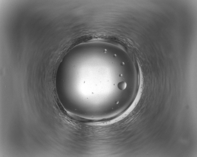 X0000061151345200511181223