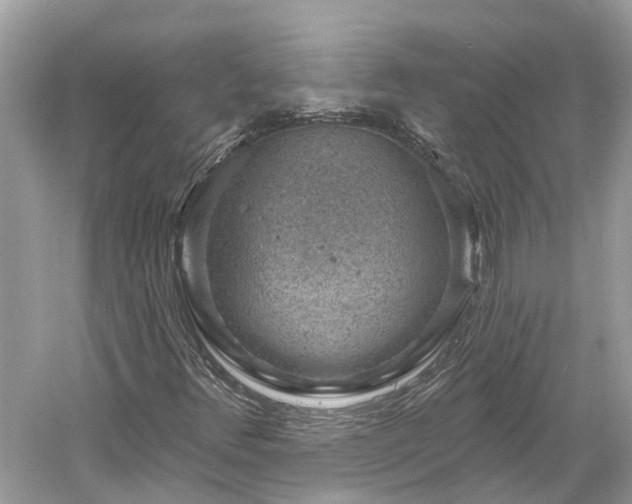 X0000061151348200511181223