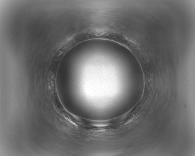 X0000061151349200511181223