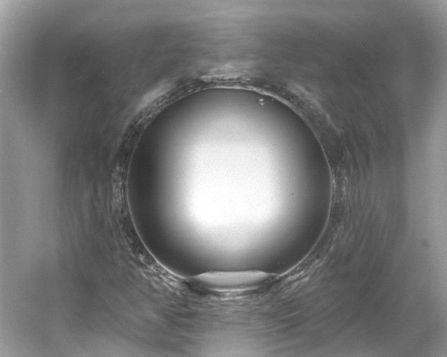 X0000061151350200511181223