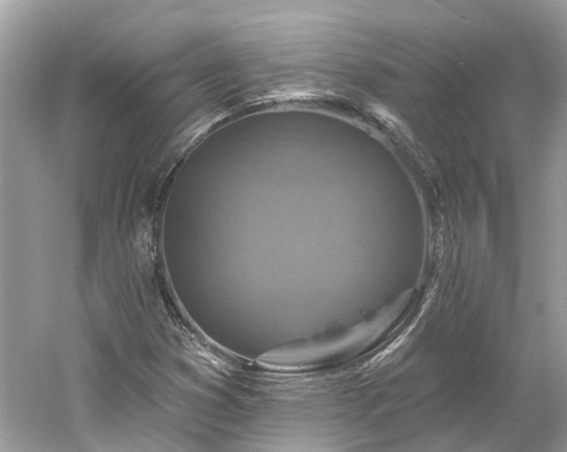 X0000061151353200511181223