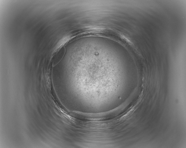 X0000061151354200511181223