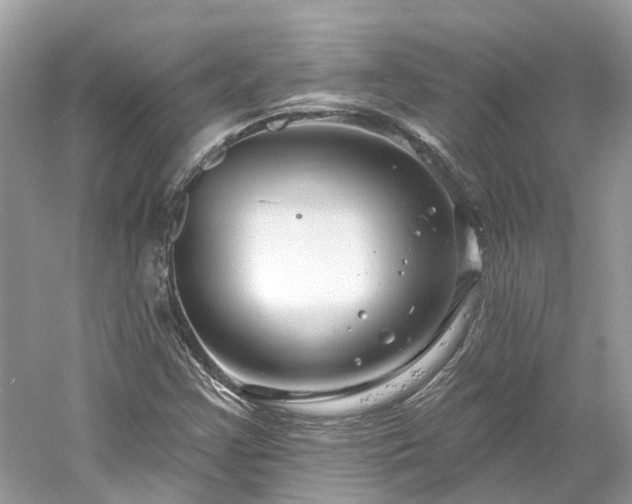 X0000061151355200511181223