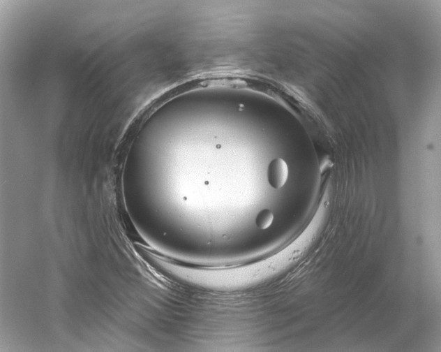 X0000061151356200511181223