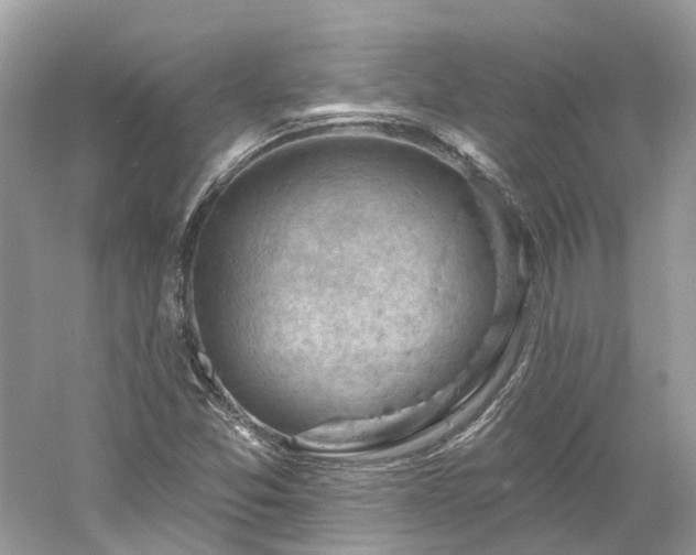 X0000061151357200511181223