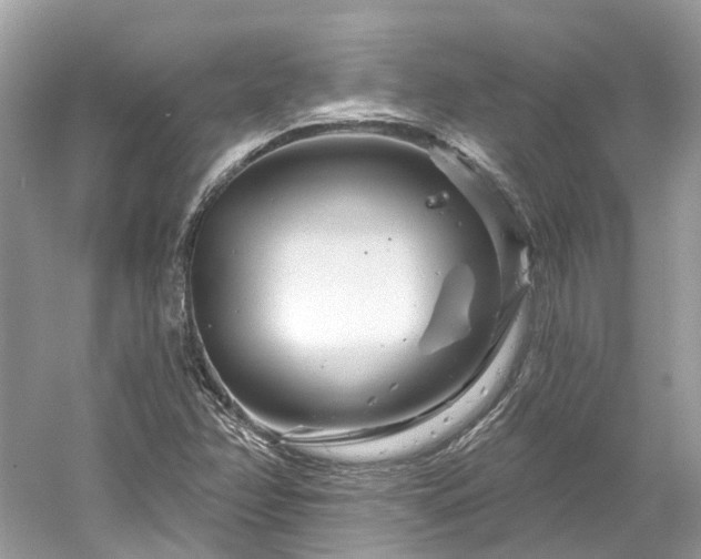 X0000061151358200511181223