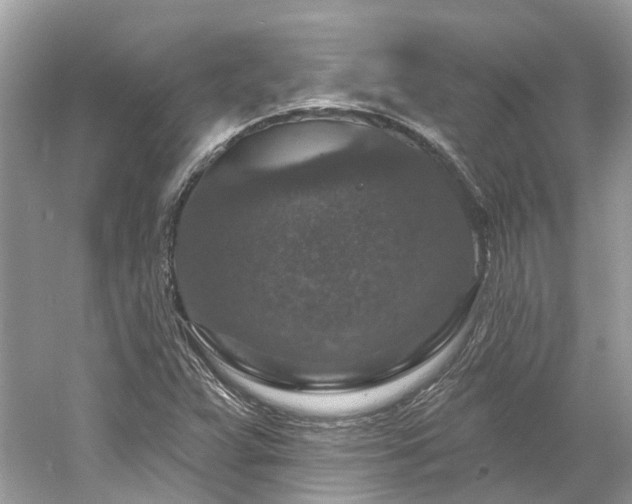 X0000061151359200511181223