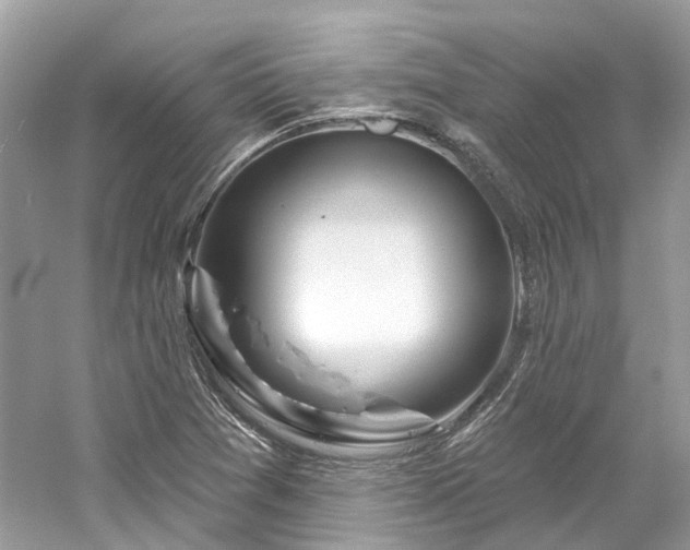 X0000061151361200511181223