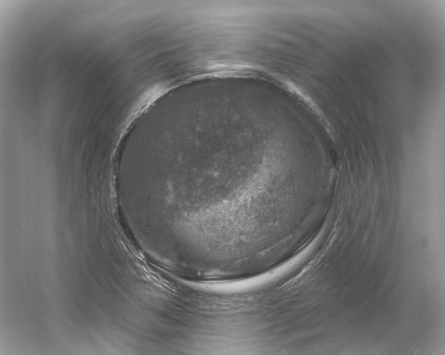 X0000061151362200511181223