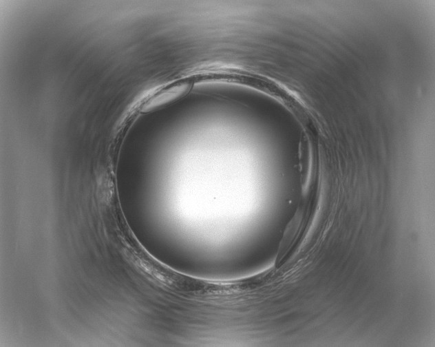 X0000061151363200511181223