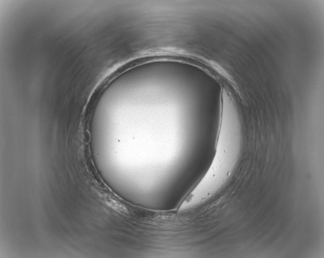 X0000061151364200511181223